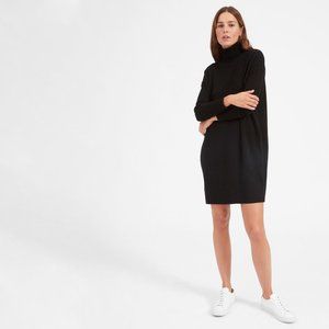 Black Everlane Cashmere Turtleneck Sweater Dress